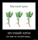 Фотография Гнутовой Альбины