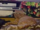 Дмитрий Сид фотография #25 (источник - https://vk.com/id2750083)