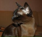 Фотография Юнусовой Елены