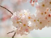 Фотография Протасевич Ирины