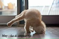 Фотография Фадеева Maxim