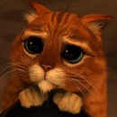 Фотография Зенченко Павла