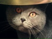 Фотография Стадника Александра