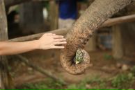 Анна Мещерякова фотография #39 (источник - https://vk.com/id1933492)