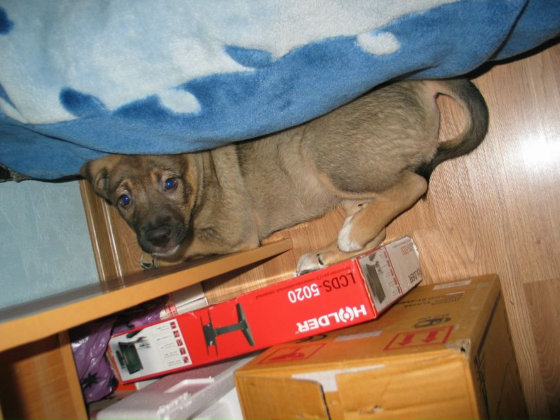 Иван Гречишников фотография #10