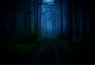 Фотография Гордеевой Полины