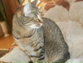 Валерій Матіїшин фотография #13 (источник - https://vk.com/id13193276)