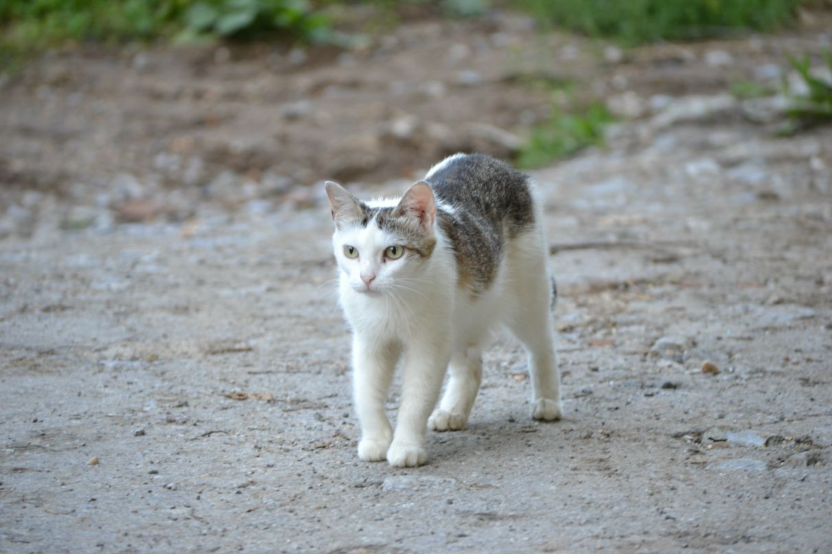 Константин Басалаев фотография #29