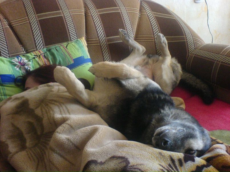 Артём Курденков фотография #21