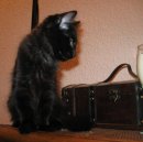 Дина Гэйро фотография #22 (источник - https://vk.com/id4248523)