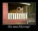 Александра Ярославская[♥love♥] фотография #36 (источник - https://vk.com/id99371978)