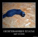 Татьяна Дилмач фотография #38 (источник - https://vk.com/id7997677)