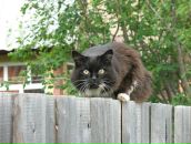 Константин Костин фотография #19 (источник - https://vk.com/id4100683)