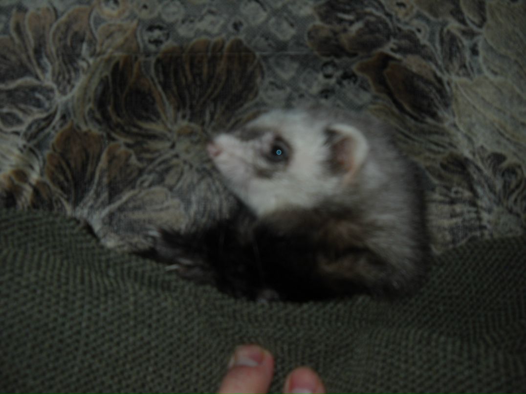 Дмитрий Фёдоров фотография #12