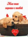 Лєна Жигадло фотография #38 (источник - https://vk.com/id110283652)