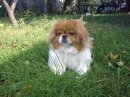 Тарас Кушнир фотография #32 (источник - https://vk.com/id8739159)