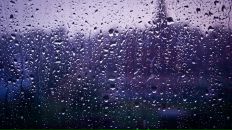 Фотография Мамонтовой Ирины