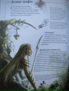 Scatur Cervina фотография #33 (источник - https://vk.com/id113406680)