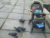 Віра Петрусь фотография #29 (источник - https://vk.com/id34420583)