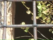 Фотография Cherepannikov Denis