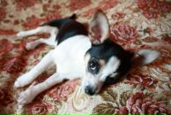 Фотография Гридина Егора