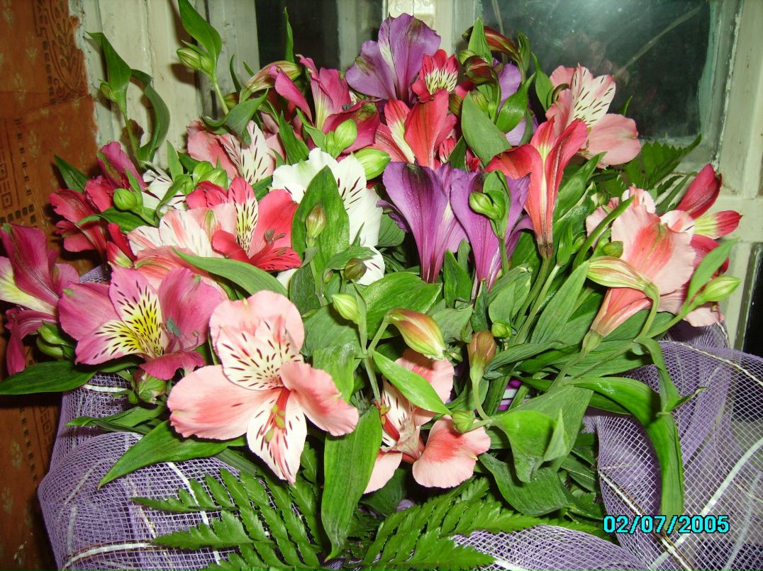 Оля Скороход фотография #35