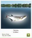 Вадім Кушиль фотография #24 (источник - https://vk.com/id63545127)