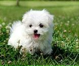 Вікторія Хоменко фотография #50 (источник - https://vk.com/id80695371)