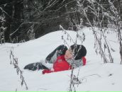 Игорь Архипов фотография #49 (источник - https://vk.com/id64985)