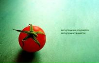 Фотография Орлова Максима