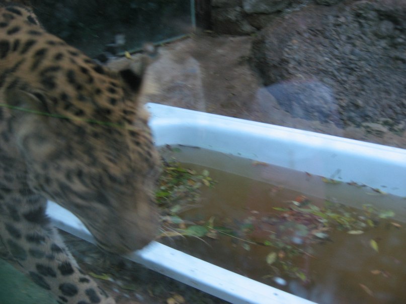 Коля Приходько фотография #8