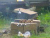 Віталій Кравців фотография #45 (источник - https://vk.com/id26293535)