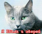 Фотография Pythia She