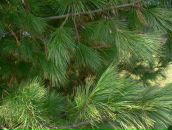 Фотография Анатольевой Татьяны