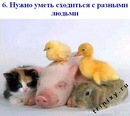 Светик Евтушенко фотография #27 (источник - https://vk.com/id143337040)
