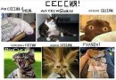 Фотография Амелиной Веры