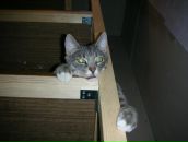 Фотография Старковой Юлии