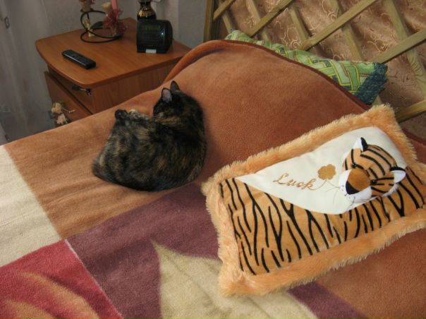 Сергей Иванов фото №12