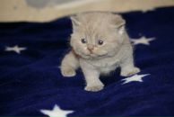 Фотография Фроловой Людмилы