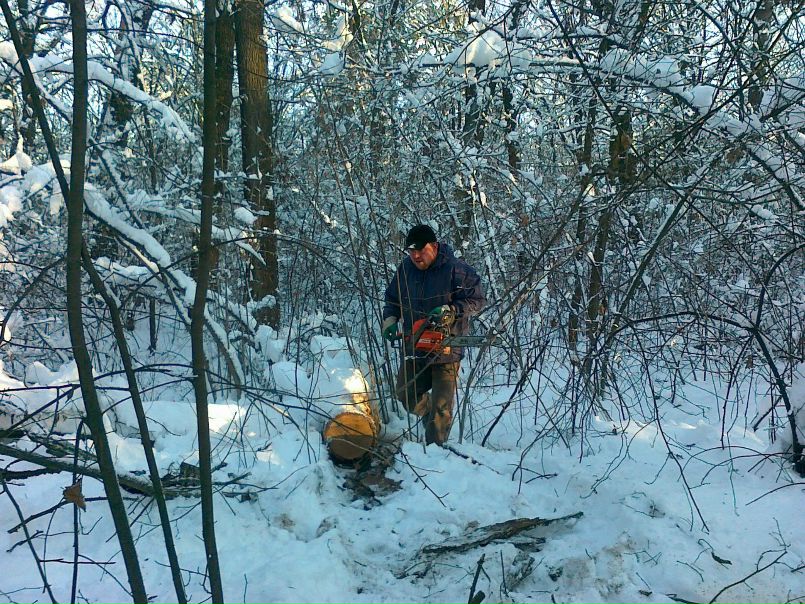 Тёма Радченко фото №41