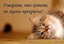 Фотография Муравьёвой Анны