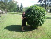 Елена Державина фотография #9 (источник - https://vk.com/id718284)