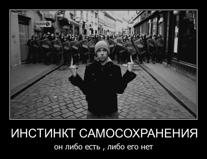 True Sky фотография #16