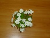 Фотография Галютиной Татьяны