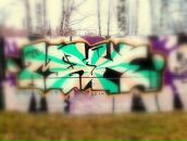 Фотография Панасюка Александра