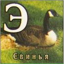 Фотография Павловой Виктории