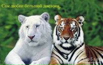 Іллья Васькевич фотография #21 (источник - https://vk.com/id69075319)
