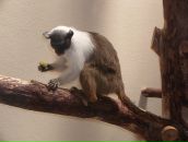 Віка Богатюк фотография #10 (источник - https://vk.com/id77462187)