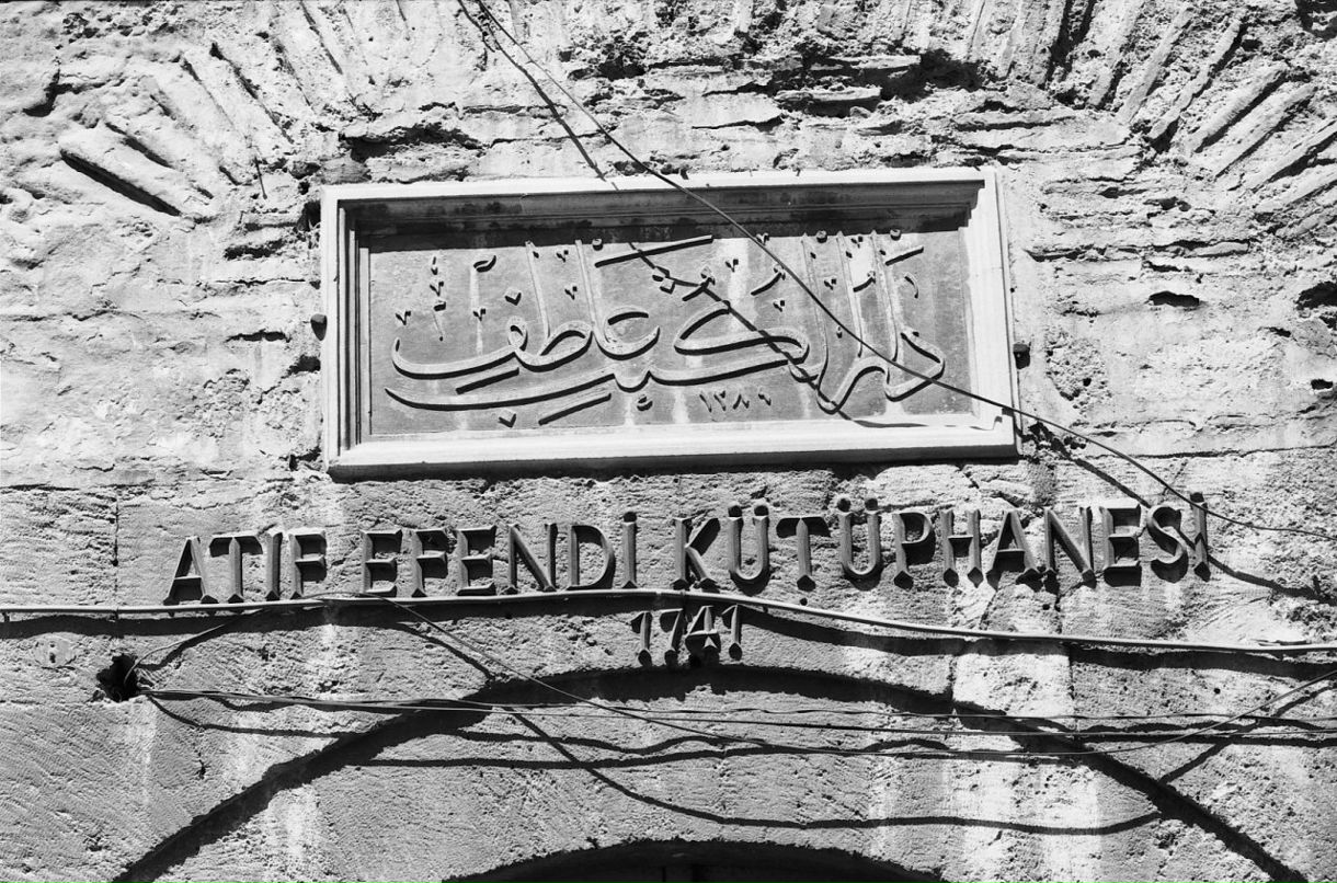 Антон Милин фотография #19