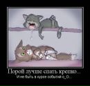Інна Захарюк фотография #22 (источник - https://vk.com/id20169938)